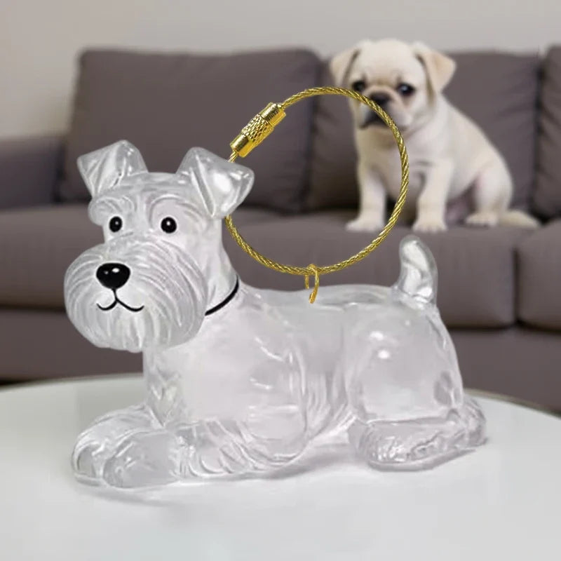 Clear Pet Hair Memorial Keepsake Capsule | Dog Fur Container Keychain for Pet Lovers
