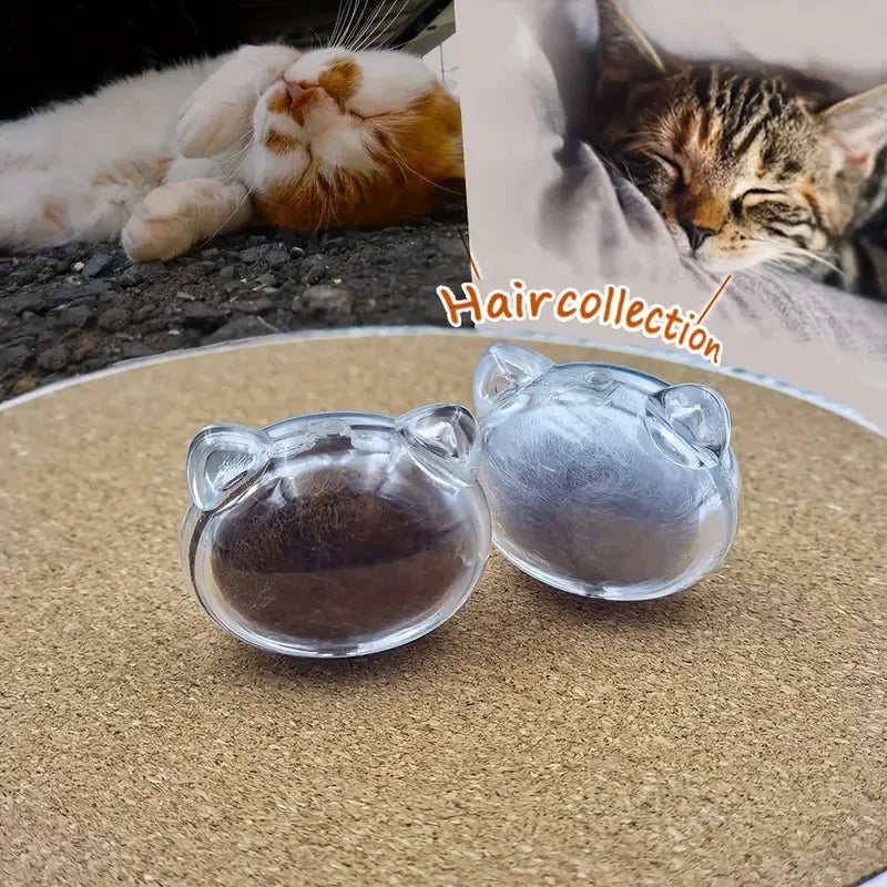 2pcs Pet Hair Keepsake Box | Transparent Dog Cat Fur Storage for DIY Memorial Decor