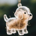 Clear Puppy Hair Memorial Keepsake Capsule | Pet Fur Container DIY Pendant Keychain