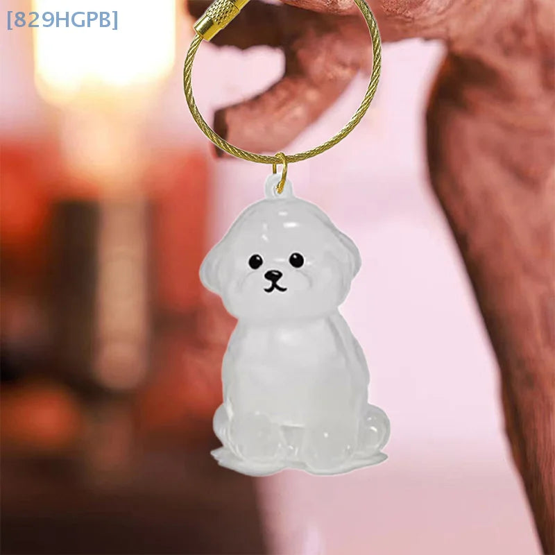 Clear Puppy Hair Memorial Keepsake Capsule | Pet's Dog Fur Container DIY Keychain Decor