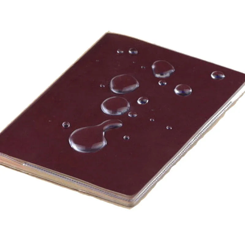 eTya Travel Waterproof Passport Holder | Transparent PVC ID and Credit Card Wallet