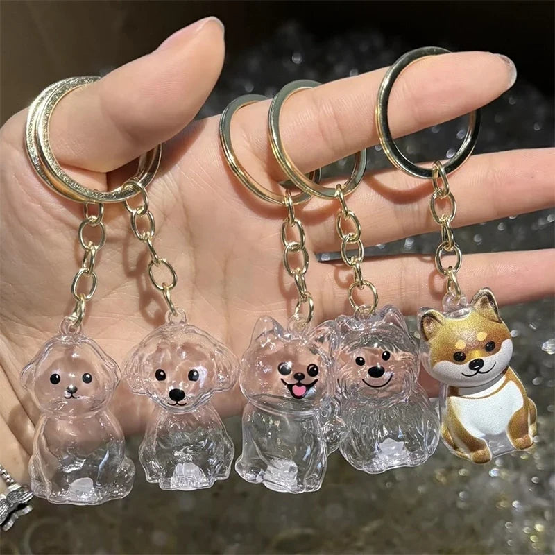 Clear Puppy Hair Memorial Keepsake Capsule | Pet Fur Display Keychain