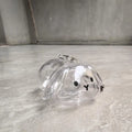 Transparent Rabbit Fur Storage Box Keychain | Pet Memorial Keepsake