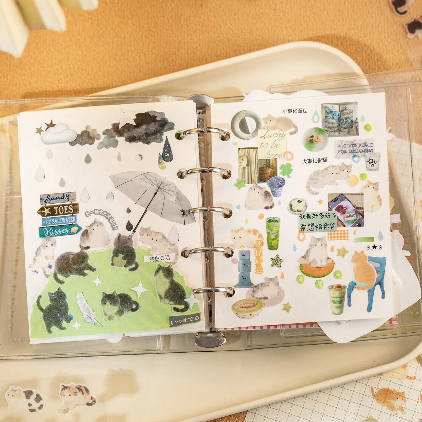 Mr. Paper 4-Pack Fluffy Meetup Stickers | Waterproof Washi Cute Cat Decals for Journal and Phone Case