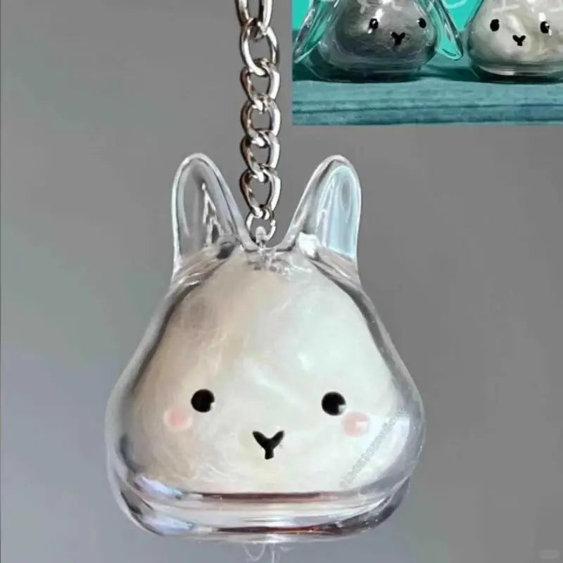 Pet Hair Memorial Transparent Storage Box Keychain | Cute Animal Rabbit Fur Organizer Bag Pendant