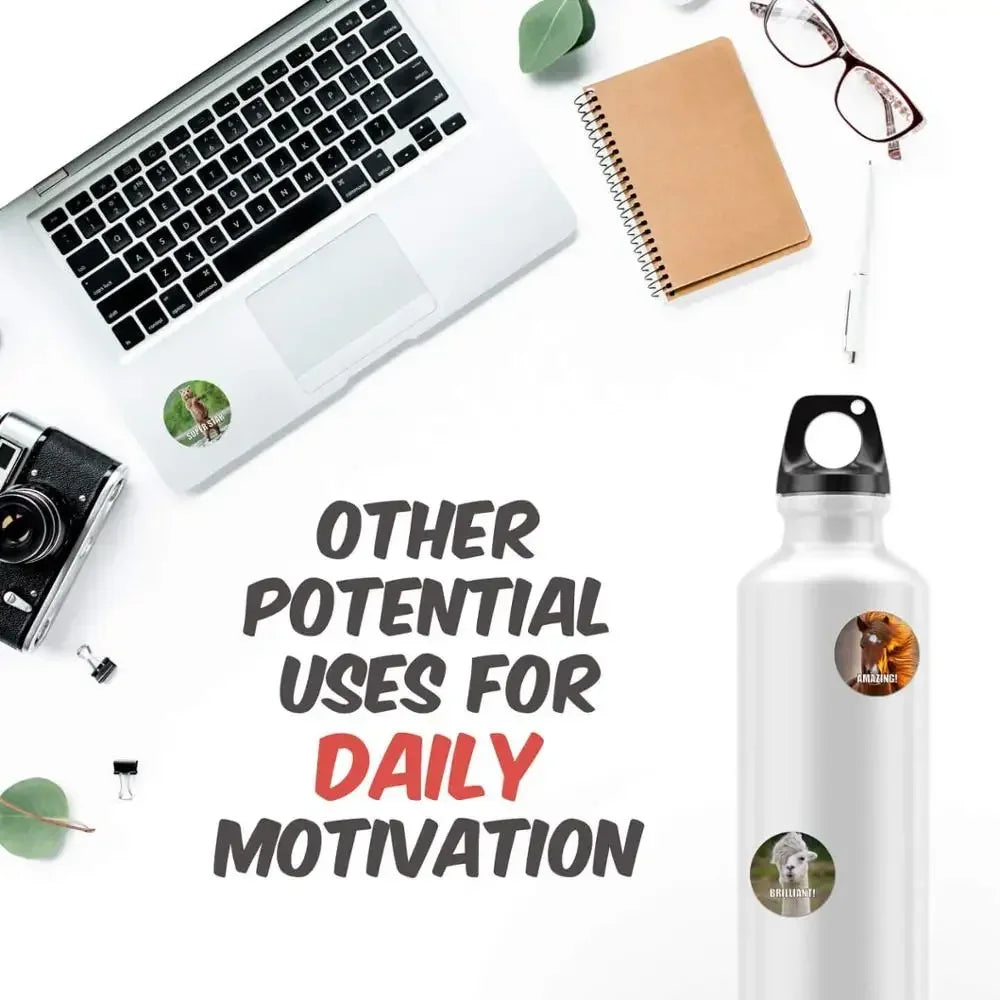 Funny Motivational Stickers for Teachers | Reward Stickers for Kids