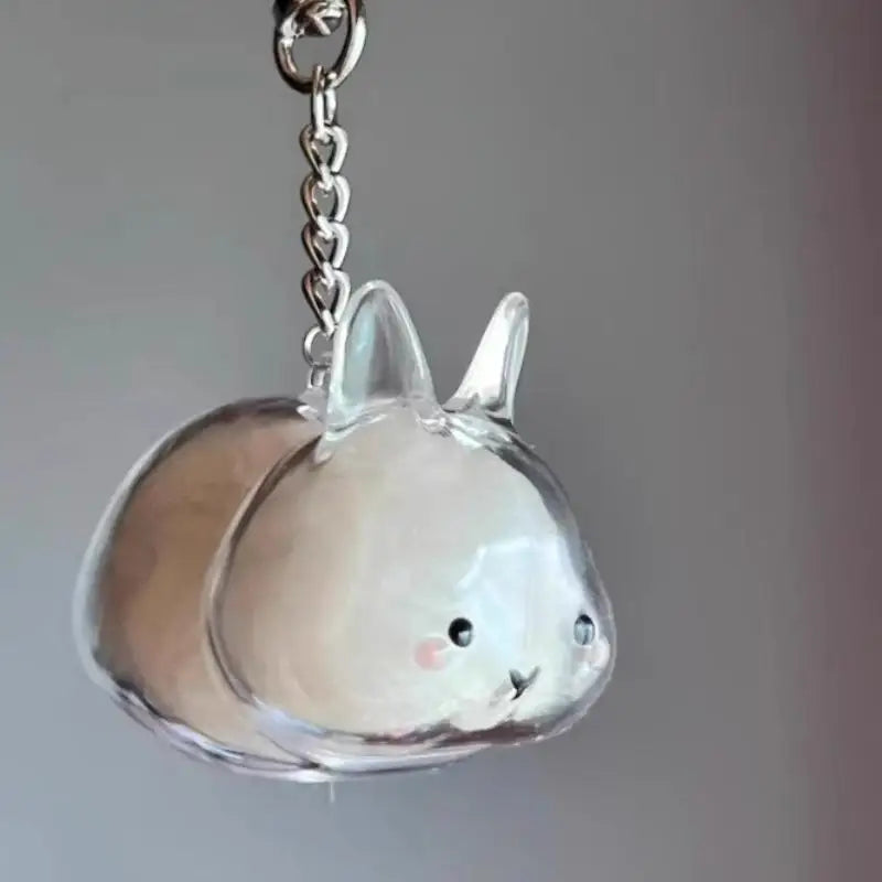 Pet Hair Memorial Transparent Storage Box Keyring | Cute Animal Rabbit Fur Organizer Keychain Bag Pendant