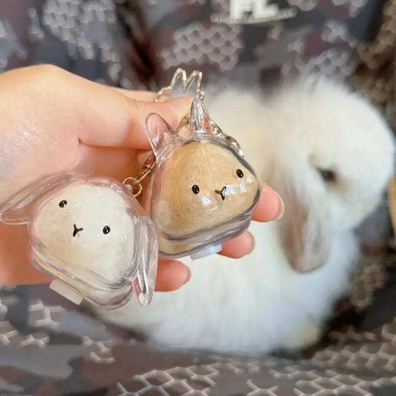 Cute Pet Hair Memorial Keychain | Transparent Storage Box Bag Pendant