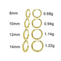G23 Titanium Hoop Earrings | Hypoallergenic Piercing Jewelry for Men Women