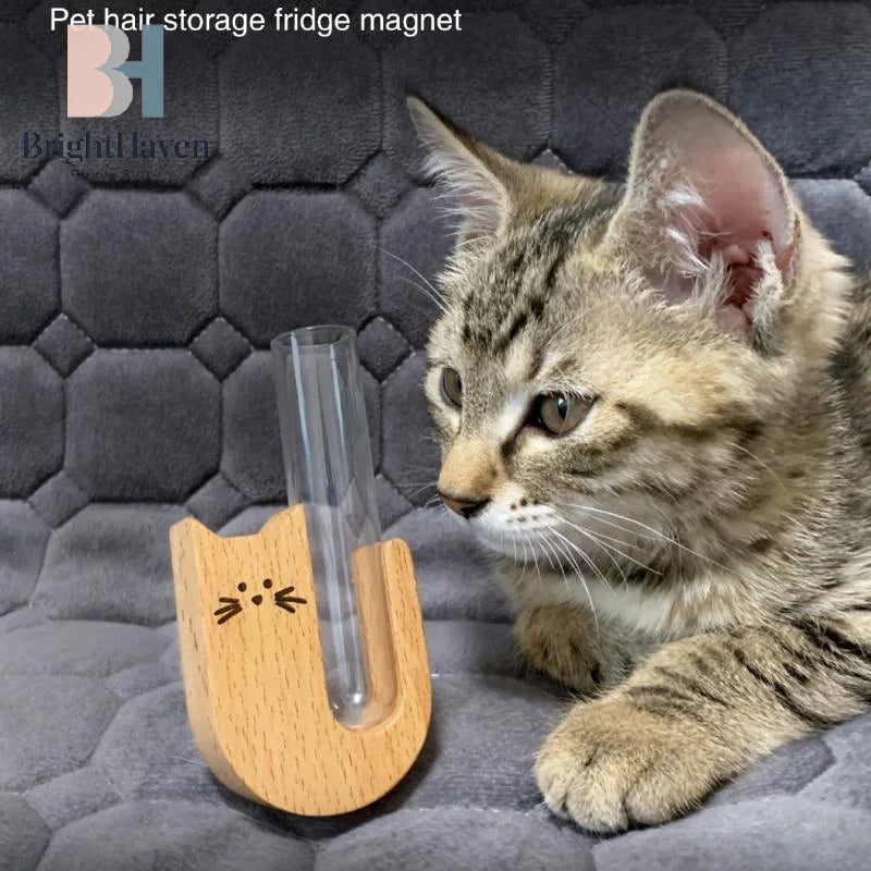 Glass Cat Whisker Jar | Pet Hair Holder Refrigerator Magnet Memorial Gift