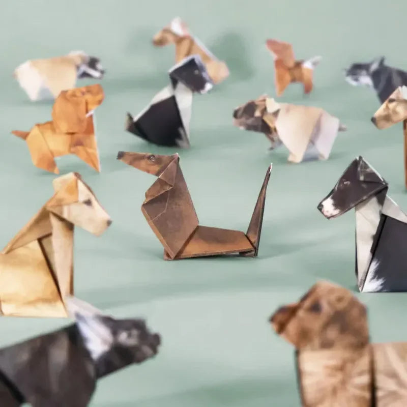 Creative DIY Paper Folding Animals Set | Hands-On Craft Kit for Kids