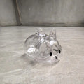 Cute Pet Hair Memorial Keychain | Transparent Storage Box Bag Pendant