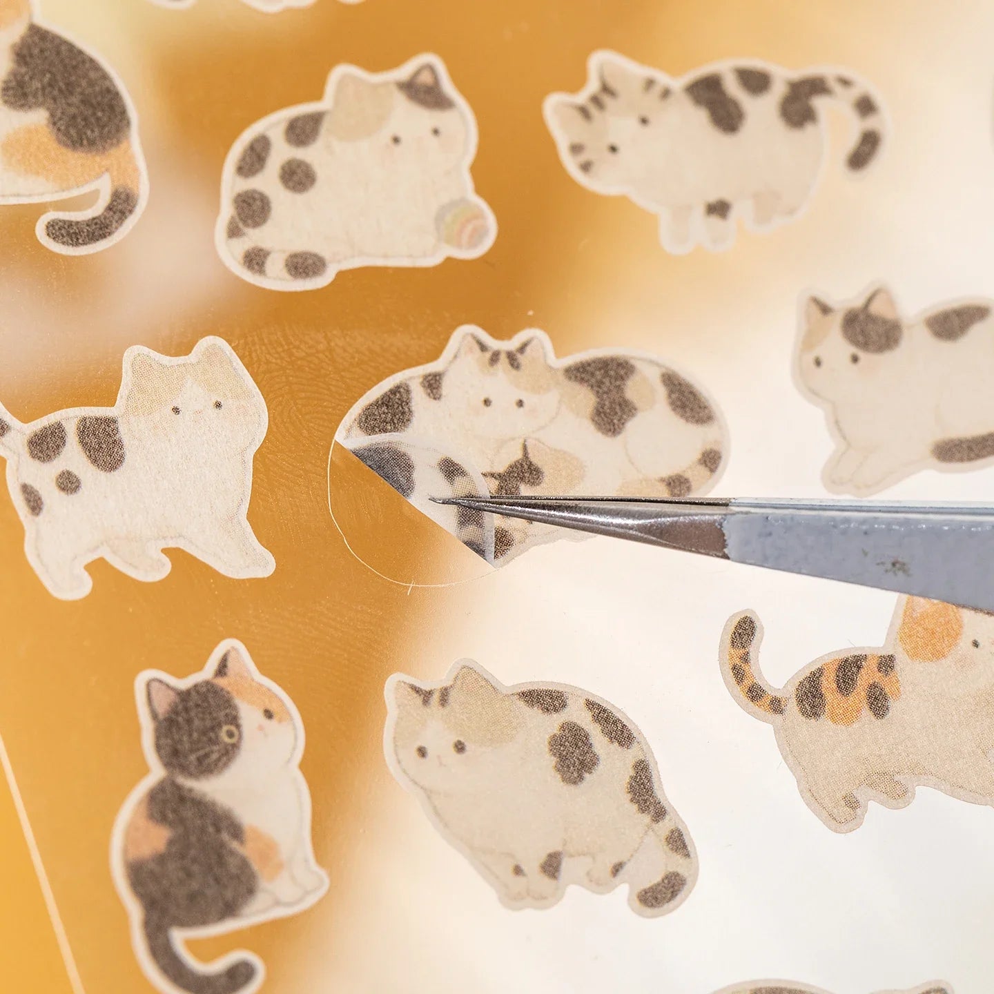 Mr. Paper 4-Pack Fluffy Meetup Stickers | Waterproof Washi Cute Cat Decals for Journal and Phone Case