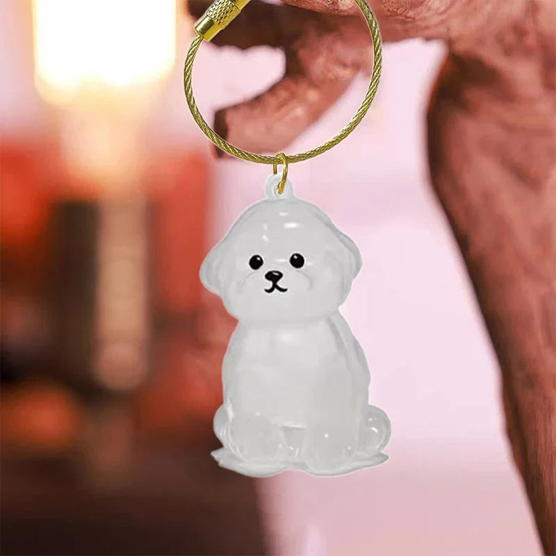 Clear Pet Hair Memorial Keepsake Capsule | Dog Fur Container Keychain