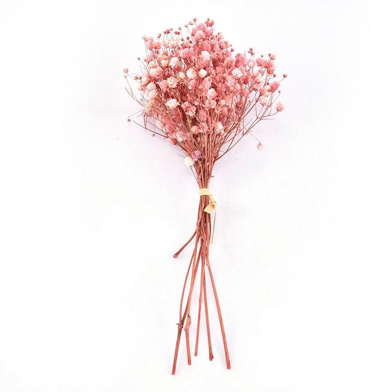 Natural Gypsophila Dried Flowers Mini Babysbreath Flower Preserve Floral  Decor Bouquet Wedding Party Home Backdrop Decor 12cm